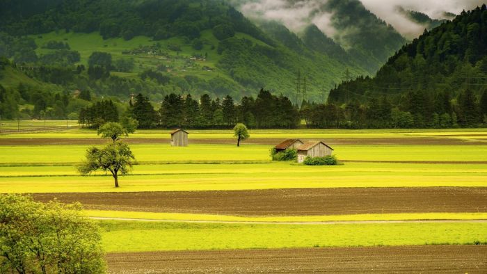 talaj megőrzés mezőgazdaság