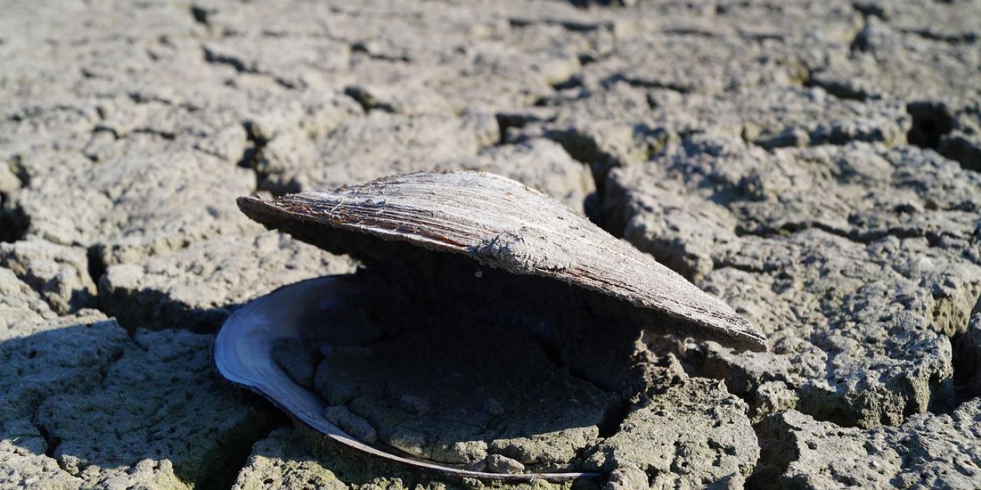 Mead-tó kiszáradás veszély ivóvízellátás