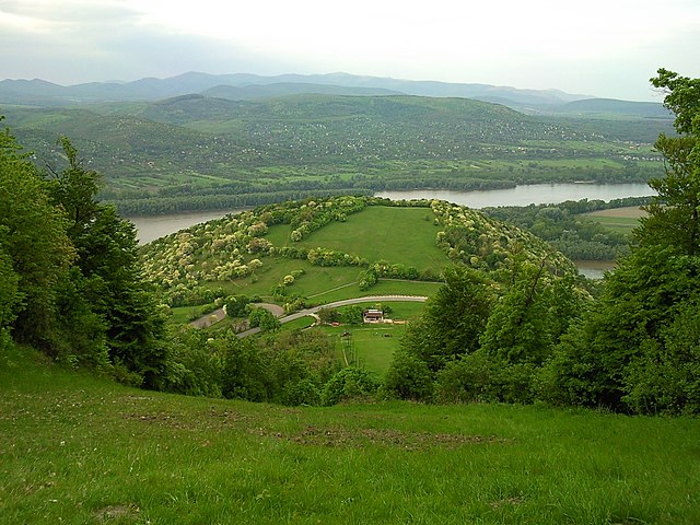 Visegrád örökerdő őserdő