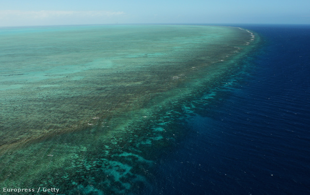 A visszahúzódó Nagy Korallzátony (Fotó: Phil Walter / Europress / Getty)  