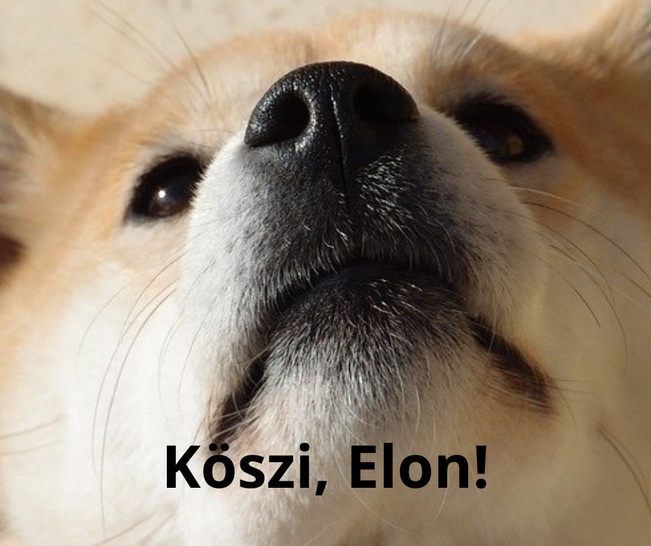 Dogecoin Elon Musk