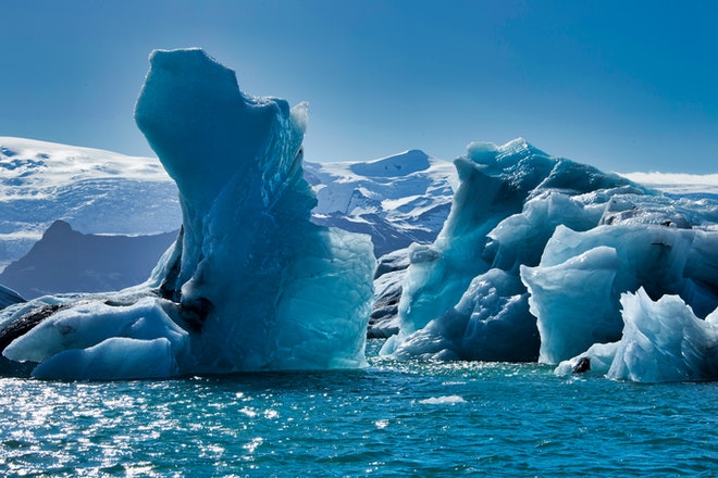 Antarktisz élet a jég alatt