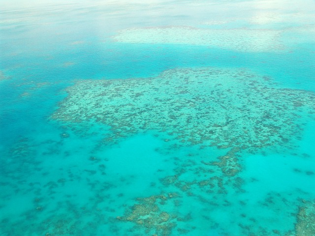 Nagy-korallzátony pusztulás