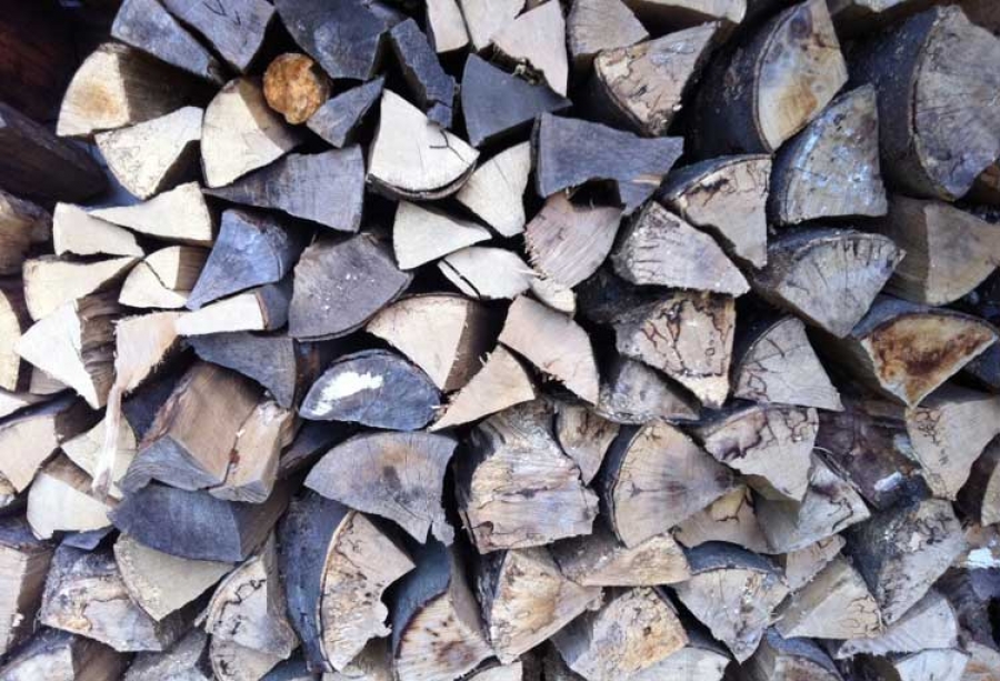 A kép csak illusztráció 