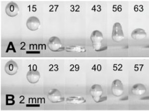 Ecetsav és hexil cseppek pattannak le a superomniphobic anyagon. 