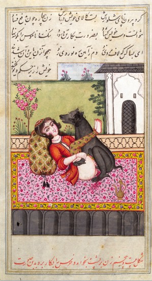 Book with sexual content 15th century Iran