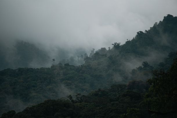 Amazonas szavannizáció bányászat kár
