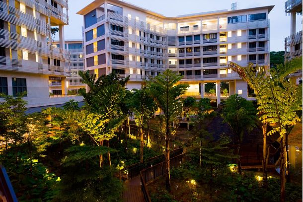 iszap vizelet biocement