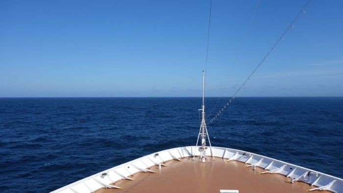 Viking Orion Ausztrália invazív faj